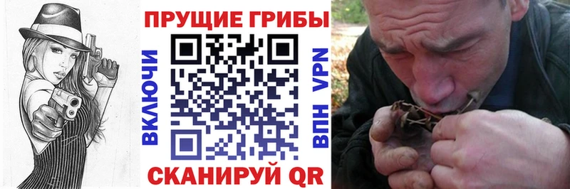 площадка наркотические препараты  KRAKEN сайт  Катав-Ивановск  Галлюциногенные грибы GOLDEN TEACHER 